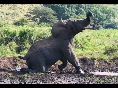 Just another boring day in Africa on Safari!