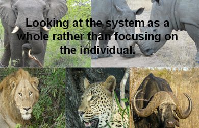 Removing emotion from nature