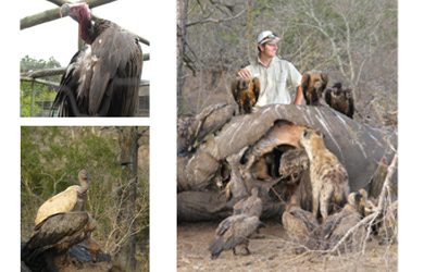 Concern for the system