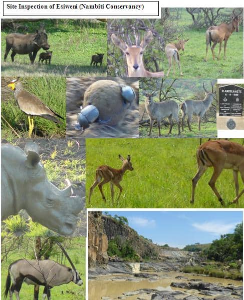 Site-Inspection-Esiweni-Lodge