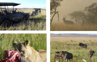 True Collection/Santa Cruzs Visit to Lions Valley Lodge, April 2011