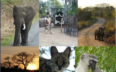 6 day Tour Shakaland, Emdoneni, Hilltop, Hluhluwe umfolozi and St Lucia