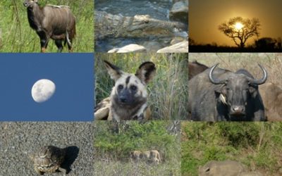 Durban Safaris – Hluhluwe Umfolozi 3 Day Tour 7-9th October 2011