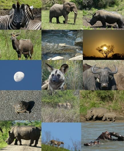 Durban-safaris-Hluhluwe-umfolozi-3-day-tour