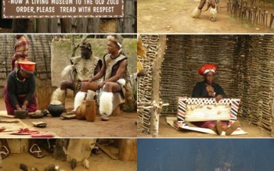 Shakaland Safari Tour 2/1/13