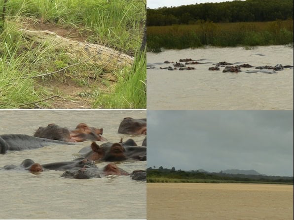 St-Lucia-Day-Safari-Tour-1-Jan-2013