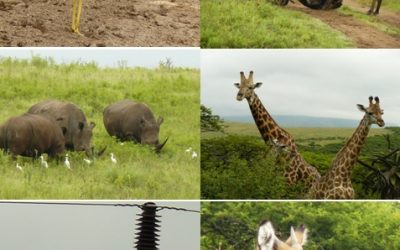 Tala Valley Day Safari Tour 29/1/13