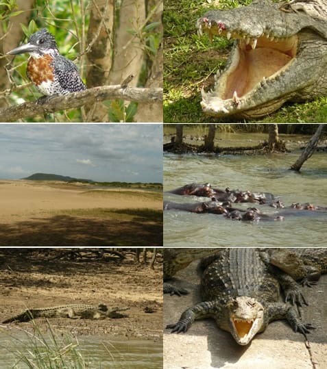St Lucia Day Safari Tour 16 March 2013