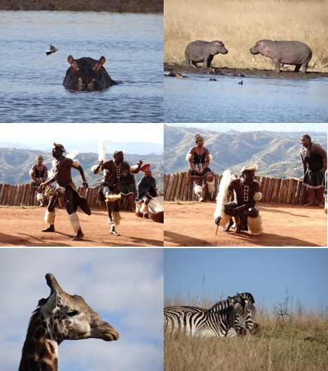 Tala and Phezulu Safari Tour 28 June 2013