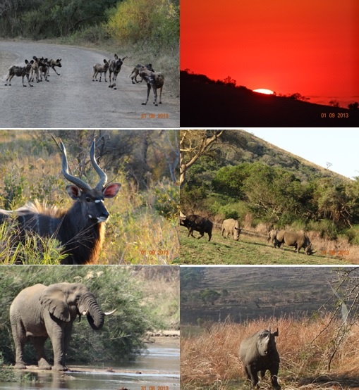 Hluhluwe Umfolozi game reserve and St Lucia safari Tour from Durban 31 – 1 September 2013