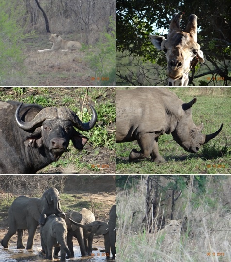Hluhluwe Umfolozi game reserve – 3 Day Durban Safari Tour 4-6 October 2013