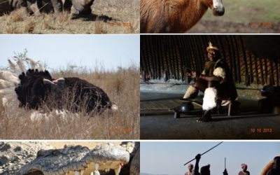 Tala game reserve and Valley of 1000 Hills, Zulu Cultural experience Safari/Tour 10/10/13