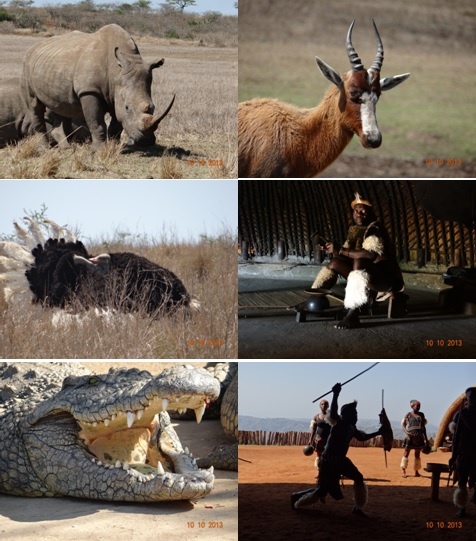 Tala Private game reserve and Phezulu Safari park – Zulu Cultural village and Reptile park 4/4/2014