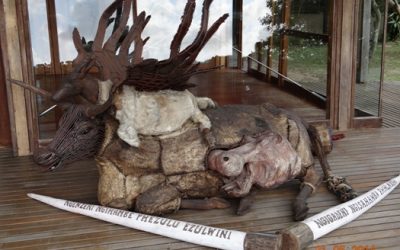 Durban Day Safari Tour to St lucia Estuary – Isimangeliso Wetland Park 21 May 2014