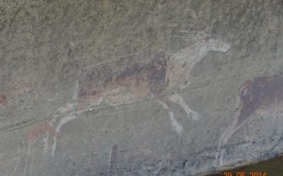 Durban Day Safari Tour to the Drakensberg Mountains 29 May 2014