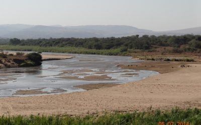 Durban Day Safari Tour to Big 5 Hluhluwe Imfolozi Game reserve 5 July 2014