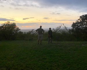 Safari Sunrise
