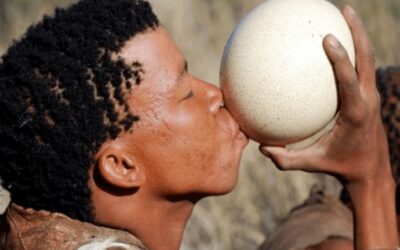 Returning to our roots to learn how to live a healthy life