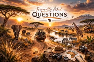 Durban Safari FAQs - Tim Brown Tours 2026